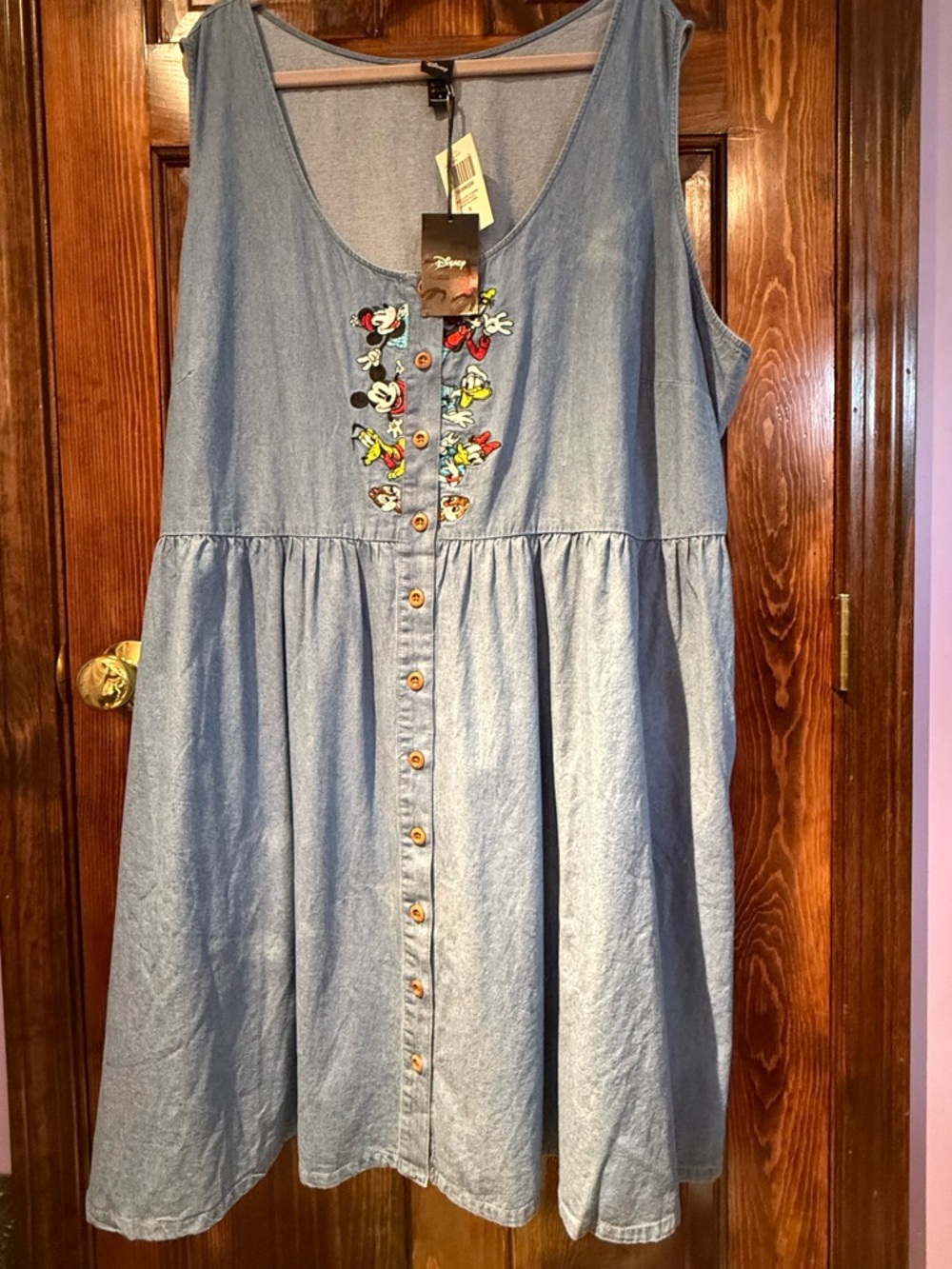 Disney Light Blue Denim Button-Front Women’s Dress with Character Embroidery